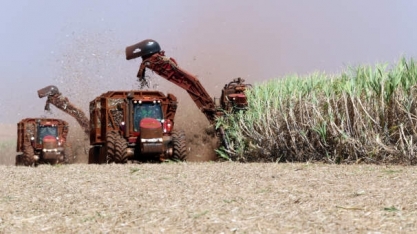Mato Grosso do Sul moerá menos cana na entressafra e já acumula 86,6% de etanol produzido