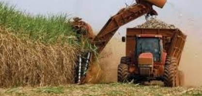 Governo chega a acordo com parlamentares sobre aumento da cota de etanol importado