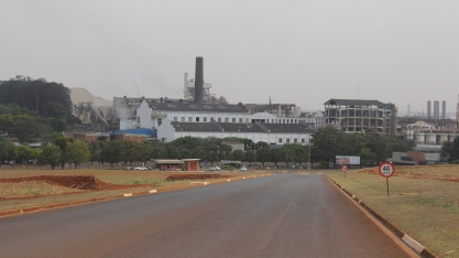 São Martinho contrata