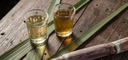 PR: Morretes aposta em cachaça de qualidade