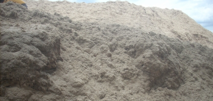 Quais as oportunidades no setor sucroenergético?