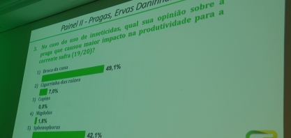 Broca se mantém como principal praga da cana-de-açúcar, mas Sphenophorus levis se aproxima do primeiro lugar