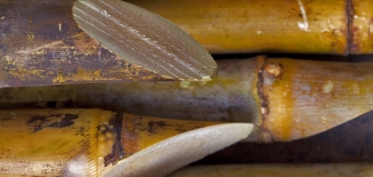 Consecana realiza Workshop em Rio Verde (GO)