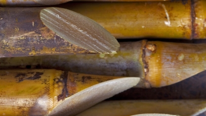 Consecana realiza Workshop em Rio Verde (GO)