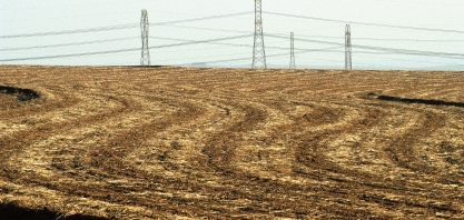 Seis unidades sucroenergéticas venderam energia no Leilão A-6 