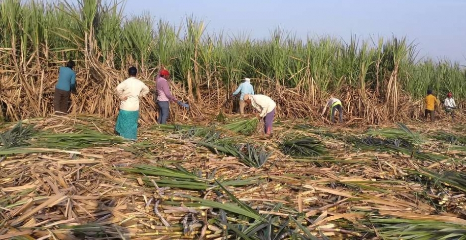 Rajendra Jadhav Foto: Reuters