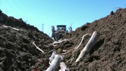 Tecnologia já está chegando para aumentar a produtividade da cana-de-açucar