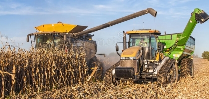 EUA: Política de Trump para etanol provoca protesto de produtores de milho