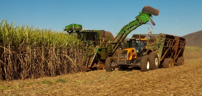 Safra conta com 5,1 mi de toneladas de cana beneficiadas