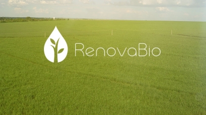 Renovabio e sua importância para o desenvolvimento sustentável do Brasil