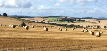 UE gastará €200 milhões para promoção de produto agrícola em 2020