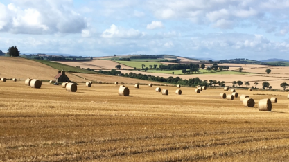 UE gastará €200 milhões para promoção de produto agrícola em 2020