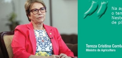 Um cenário promissor