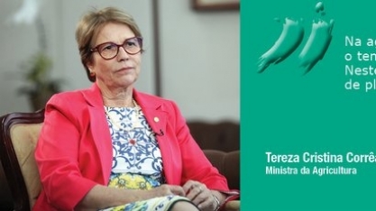 Um cenário promissor