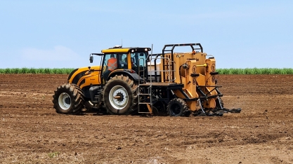 Semente artificial de cana possibilita redução de custo na estrutura de plantio e contribui para o RenovaBio