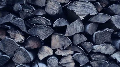 Bioenergia é oportunidade