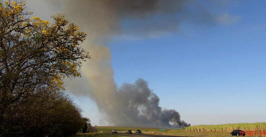 Grupo da Unesp pretende investigar por que as concentrações atmosféricas de material particulado e de ozônio não caíram, como esperado, após a proibição das queimadas no Estado; tema foi destaque na FAPESP Week France (queimada de cana registrada em 2014 