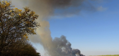 Projeto avalia o impacto ambiental da produção sucroalcooleira em São Paulo