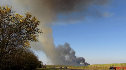 Projeto avalia o impacto ambiental da produção sucroalcooleira em São Paulo