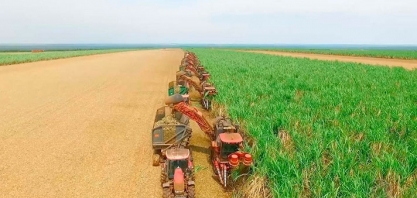 Uberaba é a 3ª cidade do país na produção de cana-de-açúcar