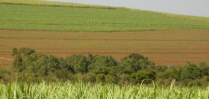 Pindorama participa de capacitação sobre bacias hidrográficas