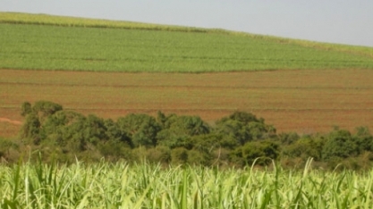 Pindorama participa de capacitação sobre bacias hidrográficas