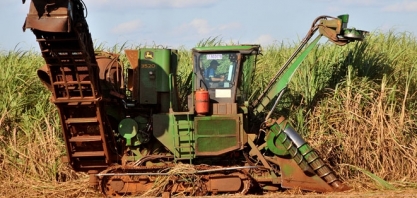 Plantar cana no Pantanal é inviável, dizem usineiros