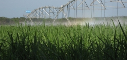 ANA conclui mapeamento da área com uso de água para cana-de-açúcar no Brasil