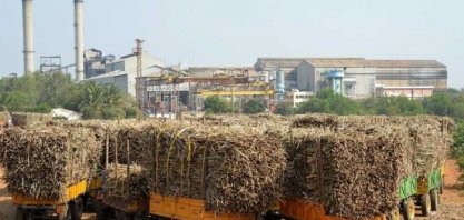 OIA: mercado mundial de açúcar deve ter déficit de 6,11 milhões de t em 2019/20