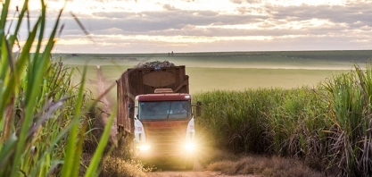 Perguntas atuais para futuras decisões de negócios