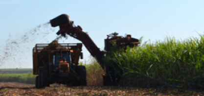Cade aprova compra pela Raízen de unidade agrícola da NovAmérica