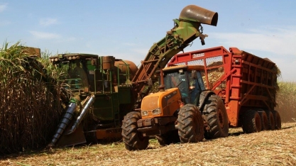 MG já moeu 94,3% de cana do total previsto de 66,5 mi de ton