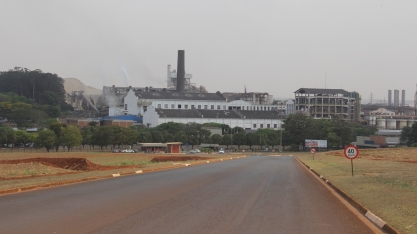 São Martinho contrata