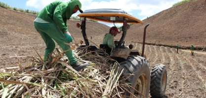 Mais de 5 milhões de toneladas de cana já foram beneficiadas na safra 19/20