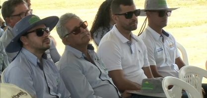 Tecnologia vem sendo usada para recuperar produção de cana-de-açúcar