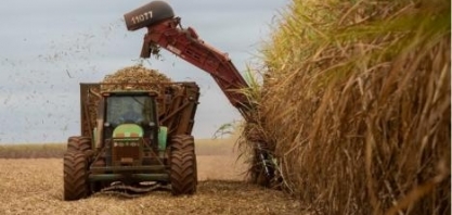 Moagem de cana da Tereos cresce e atinge 18,8 milhões de toneladas nesta safra