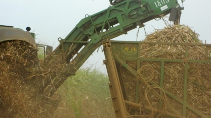 Economia de Mato Grosso tem a maior taxa de crescimento no país, segundo IBGE