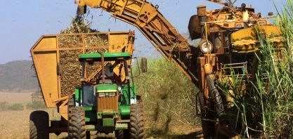 Sindaçúcar-AL: safra já tem mais de 393 mil toneladas de açúcar produzidas