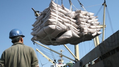 Na semana do açúcar no Brasil, traders apostam no mercado até 14 centavos