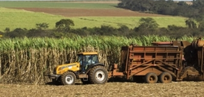 Produção de açúcar dispara na 2º quinzena de outubro; etanol tem recorde de vendas