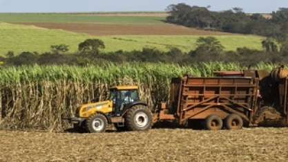 Produção de açúcar dispara na 2º quinzena de outubro; etanol tem recorde de vendas