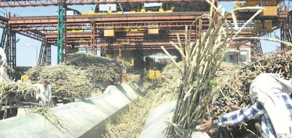 Açúcar: produção da índia em 2019/20 atinge 485 mil t até 15 de novembro, queda de 63,8%