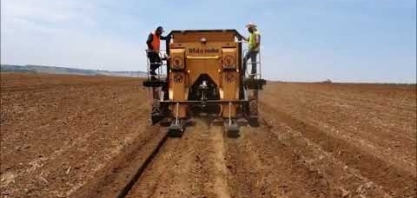 Confira plantio de Emerald, as sementes artificiais de cana da Syngenta