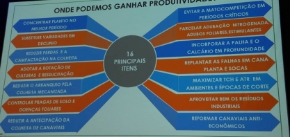 Setor sucroenergético está em recuperação, mas depende muito do aumento de produtividade e redução de custos