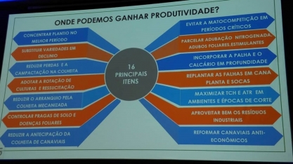 Setor sucroenergético está em recuperação, mas depende muito do aumento de produtividade e redução de custos