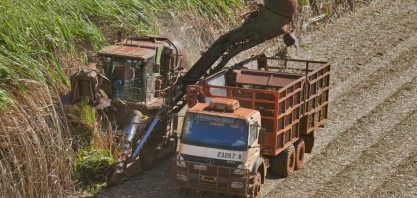 Quinzena alcooleira tem mais de 70% da cana destinada ao etanol
