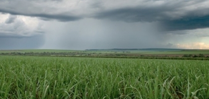 Safra 2019/20: início da temporada de chuvas é mais brando e impacta moagem e ATR