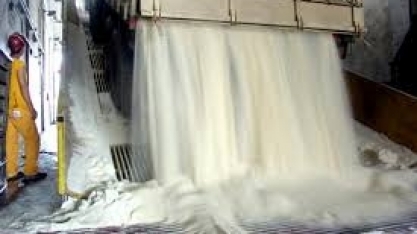 Exportação de açúcar cresce 0,78% ante outubro de 2018, para 1,928 milhão de t