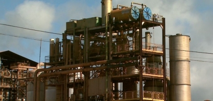 Produção de açúcar e álcool aumenta na região de Ribeirão Preto