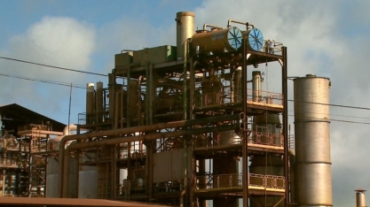 Produção de açúcar e álcool aumenta na região de Ribeirão Preto